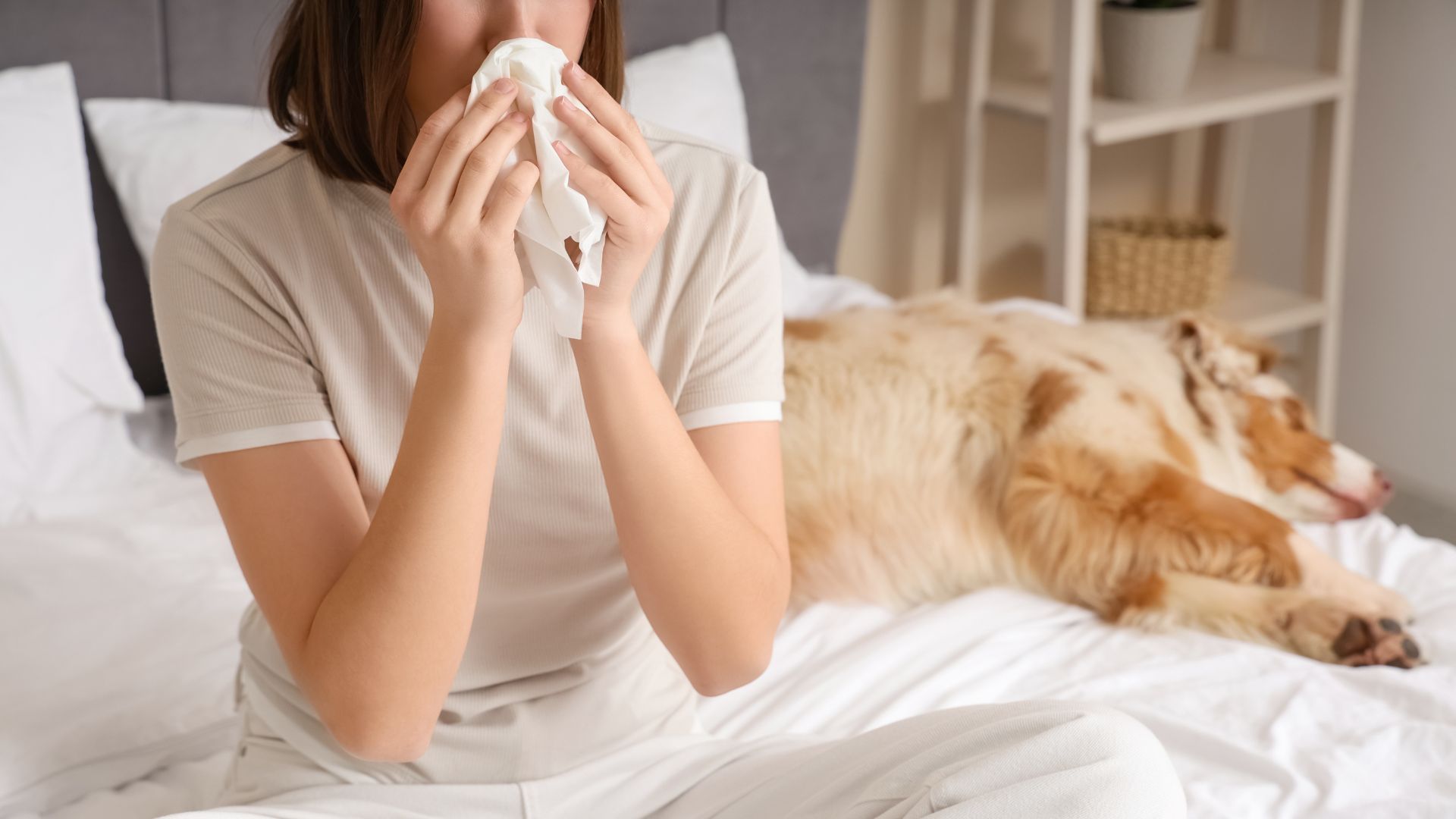 Alergolog dla dorosłych Białystok